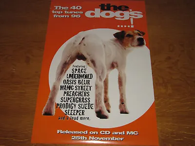 The Dogs Bollocks - Original Uk Promo Poster (oasis Blur Prodigy Suede Britpop) • £10.99