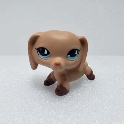 Mini Pet Shop Toys Dachshund Wiener Dog Rare LPS #518 Blue Eyes Brown Puppy Gift • £10.79