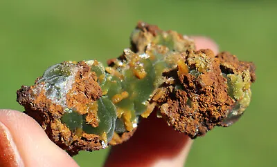 Wulfenite Crystals Scattered On Mimetite Carpet And Matrix From Mexico 5.0 Cm's • $31.99