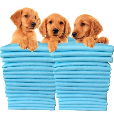 £9.49 • Buy 50/100/200 Absorbent Large Puppy Training Pads Pet Toilet Pee Wee Mat 60x45cm