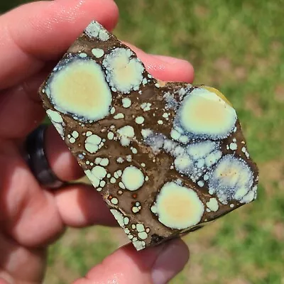 Natural Star Fox Variscite Rough Nevada 83.0 Grams • $166