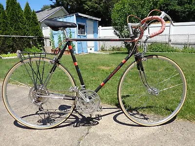 Vintage Vista Silver Shadow 10 Speed Bicycle • $699.99