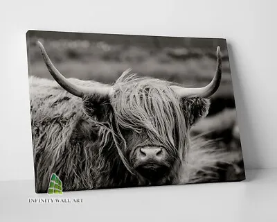 £17.91 • Buy HIGHLAND COW Black Canvas Art Print Wall Art Animal Decor Photo Picture -D125