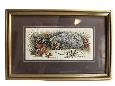 J&J CASH - Framed HEDGEHOG Silk Wildlife Jacquard Loom Artistry - ENGLAND • £23.16