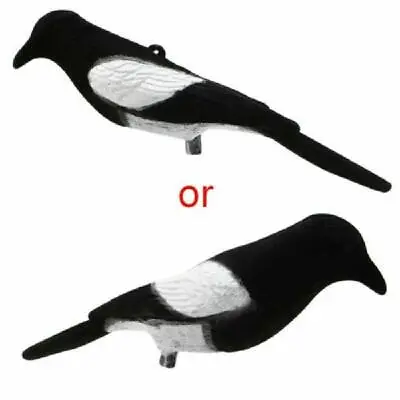 Flocked Magpie Bird Decoy Full Body Trap Rook Shooting Hunting With Stake • £8.39