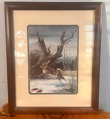 VTG Framed And Matted R J McDonald Print  Eastern Cottontail Rabbit  • $19.50