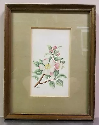  Apple Blossoms  By Edie Johnstone Killington VT Original China Paint Painting • $39.99