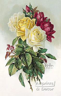 Royal Roses By Paul De Longpre (Art Print Of Vintage Art) • $15.29