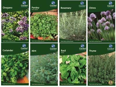 £0.99 • Buy Herb Seeds Mint Rosemary Corriander 