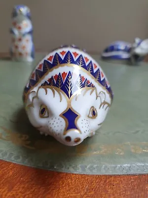 £40 • Buy Royal Crown Derby Paperweight Gold Stopper Hedgehog 