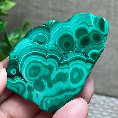 Malachite Slab / Slice  Polished Gemstone Mineral Specimen Congo 19g A12 • $19.50