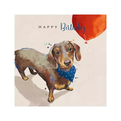 Dachshund Sausage Dog Happy Birthday Greeting Card The Wildlife Range Cards • £4.99