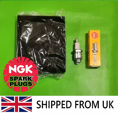 Service Kit Champion R484P GGP Engine B2-LM NGK Spark Plug Air Filter • £7.95