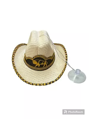 Set Of 12 Mexican Mini Palm Hats  Car  Decor  Sombrero  Hanger    Buffalo • $42