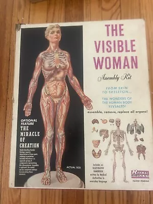 RENWAL Kit #804 THE VISIBLE WOMAN!!!!  Vintage! • $34.95