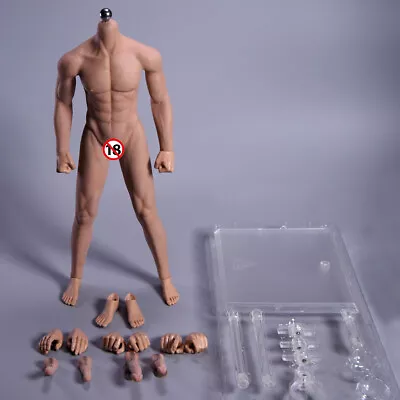 JIAOU DOLL 1/6 Male Action Figure Seamless Body 12  For TBLeague PHICEN Hot Toys • $69.70