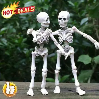 Halloween Movable Man Skeleton Human Model Skull Full Body Mini Figure Toy^ • $4.05
