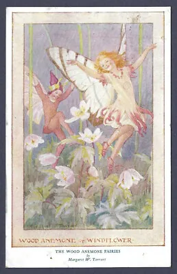 The Wood Anemone Or Windflower - Margaret Tarrant Art Postcard • £1.80