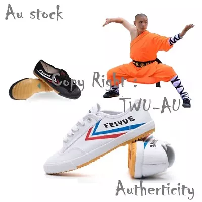 Feiyue Shoes Kung Fu Shoes Wushu Shoes Taiji Shoes Parkour Martial Arts Shoes • $44.95