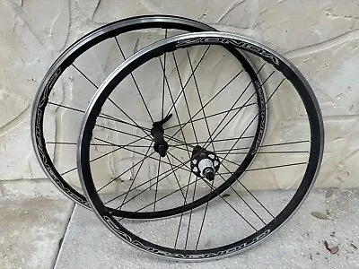 Campagnolo Zonda 700c Clinchers Rim Brake Wheelset 11 Speed Shimano Freehub • $274.99