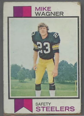 1973 Topps #246 Mike Wagner Pittsburgh Steelers • $0.99