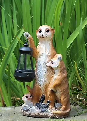 Garden Ornament Meerkat Solar Powered Lantern Decorative  Animal Light Up LED • £15.95