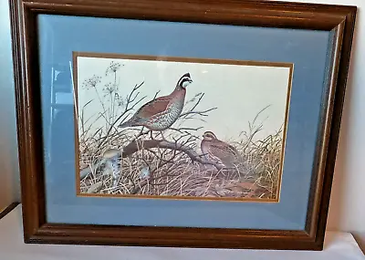 William Zimmerman Quail Print • $79.99