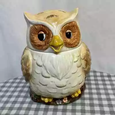 Owl Ceramic Cookie Jar Otagiri Japan By Mary Ann Baker Vintage 9  Tall • $44.95