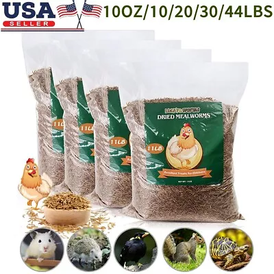 Lot Bulk Dried Mealworms Non-GMO For Wild Birds Food Blue Bird Chicken Hen Treat • $9.98