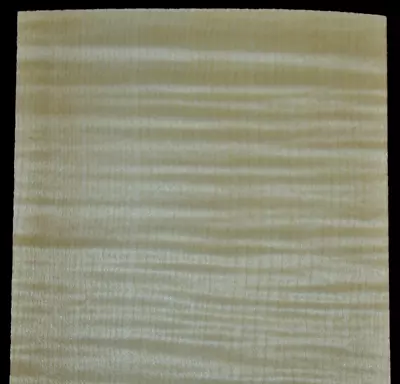 Curly Maple Wood Veneer Sheet 5 X 38 Inches 1/42nd          BLEMISHED    4666-31 • $6.99