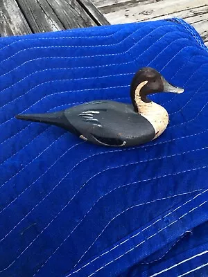 Early Back Bay Decoy Northern Pintail Duck • $50