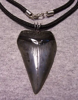 Mako Shark Tooth Teeth Necklace Fossil 2 1/16  ~ Big Megalodon Diver Polished • $36