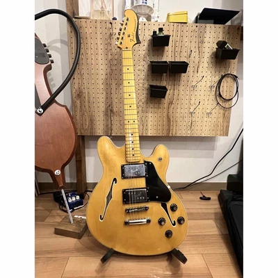 $1770.81 • Buy Fender Starcaster Electric Guitar Body