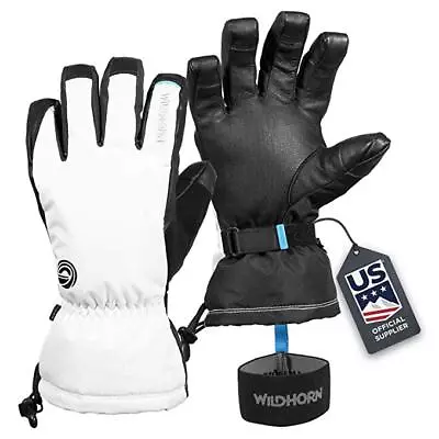 Wildhorn Unisex Waterproof Leather Ski Gloves Touchscreen Compatible 6 - Lunar • $30