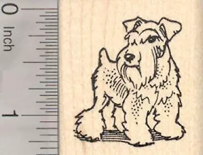 Miniature Schnauzer Dog Rubber Stamp D20417  WM • $14