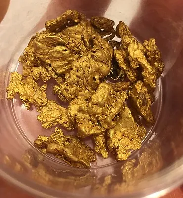 $25.50 • Buy Gold Paydirt 1 Lb 100% Unsearched And Guaranteed Added GOLD! Panning Nugget