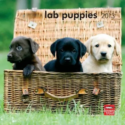 Lab Puppies 2013 7X7 Mini Wall Calendar • $11.99