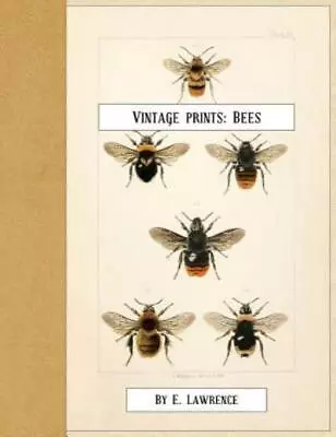 Vintage Prints: Bees • $13.83