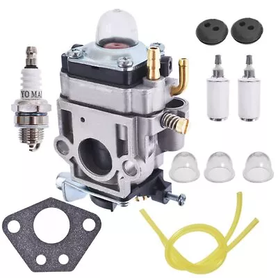 For Earthquake E43 E43WC E43CE Auger MC43 MC43E MC43CE Carburetor 300486 Kit • $13.76