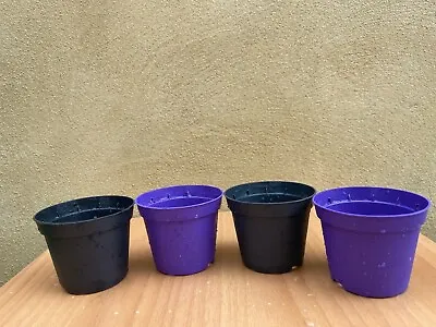 Mini Plant Pot - 8cm Plant /seeding Pot - 4 Plant Pot - Houseplant Growing Pot • £7.50