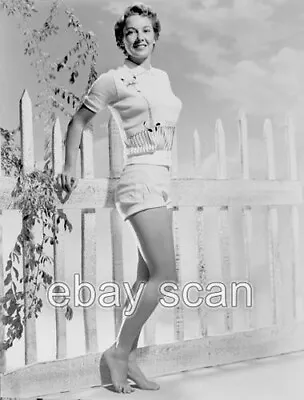 Actress Vera Miles  Leggy Cheesecake    8x10 Photo 201 • $14.99