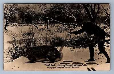 Postcard Vtg Animals Exaggeration Large Rabbit Put Salt On Their Tails Hunter • $2