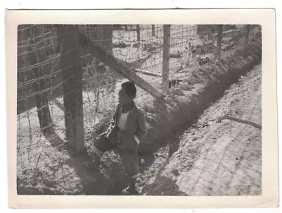 1950's Korean War Soldiers Personal Photo Boys Stands By Barbed Wire Base Fence • $6.99