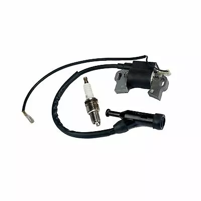 Ignition Coil & Spark Plug ES5500 ES5500-CA ES5500E ES5500E-CA 5500 15hp LIFAN • $19.69