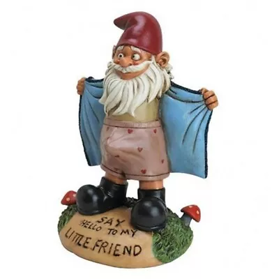 $14.98 • Buy Naughty Garden Gnome Statue Funny Dick Up Pink Figurines Yard Lawn Ornament US