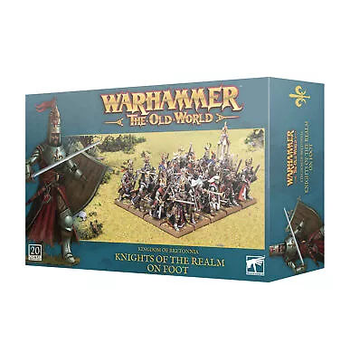 Bretonnia Knights Of The Realm Foot Warhammer Fantasy Old World Bretonnian THG • $68