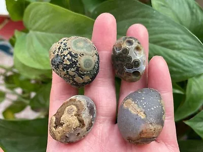 72g/4pieces Natural GoBi Agate Eye Agate/stone Suiseki-viewing Collection • $17.70