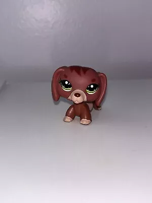 LPS Littlest Pet Shop Dachshund Mom Dog #3601 AUTHENTIC • $4.25