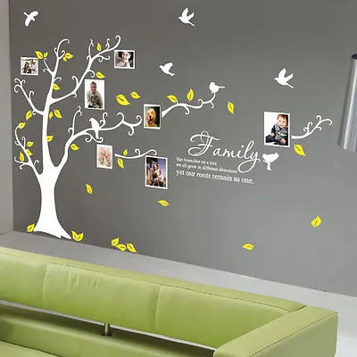 Family Photo Tree Bird Wall Stickers Wall Decals Wall Quotes Stickers • £43.99