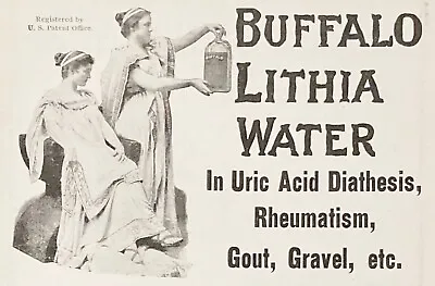 1899BUFFALO LITHIA WATER Vtg Quackery Cure-All Medicine Print Ad~Uric AcidGout+ • $19.95